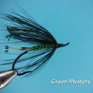 Green Mystery Fly.jpg