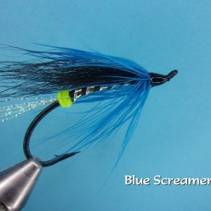 Blue Screamer.jpg