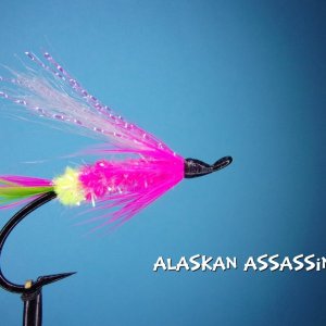 Alaskan Assassin.jpg