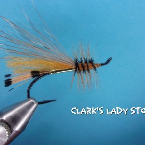 Clark's Lady Stone.jpg