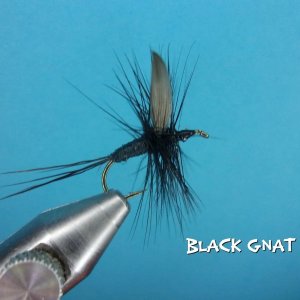 Black Gnat Dry.jpg