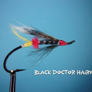 Black Doctor Hairwing.jpg
