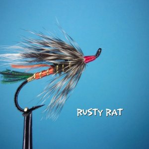 rusty rat.jpg