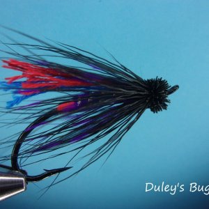 Duley's Bug.jpg