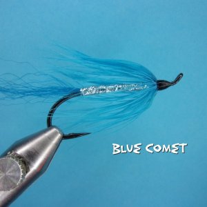 Blue Comet.jpg