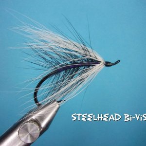 Steelhead Bi-Visible.jpg