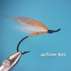 Autumn Run.jpg