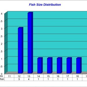 Fish Size Distribution 2024-03-16.jpg