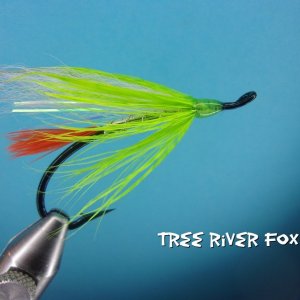 Tree River Fox.jpg