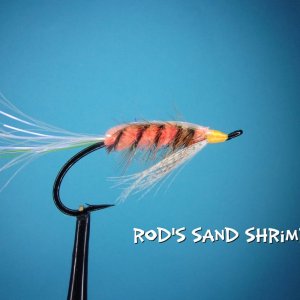 Rod's Sand Shrimp.jpg