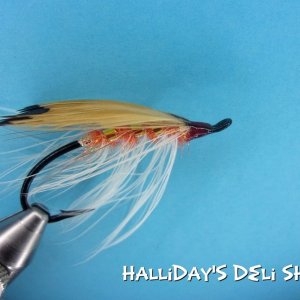 Halliday's Deli Shrimp.jpg