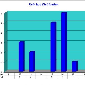 Fish Size Distribution 2024-04-26.jpg