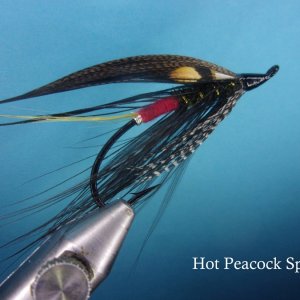 Hot Peacock Spey.jpg