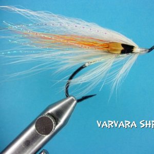 Varvara Shrimp.jpg