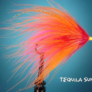 Tequila Sunrise.jpg