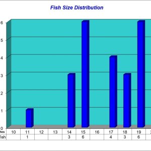Fish Size Distribution Chart 2024-05-16.jpg