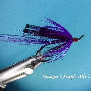 Younger's Purple Ally's Shrimp.jpg