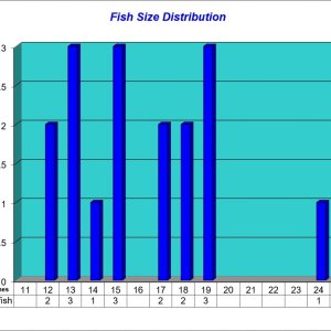 Fish Size Distribution 2024-06-07.jpg