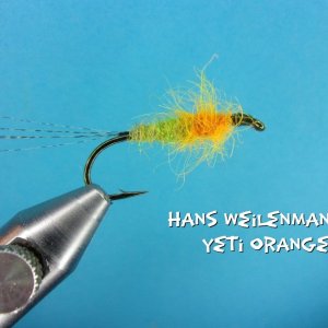 Hans Weilenmann's Yeti Orange.jpg