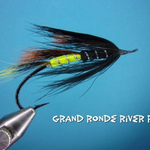 Grand Ronde River Rat.jpg