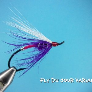 Fly Du Jour Variant.jpg