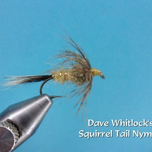 Dave Whitlock's Squirrel Tail Nymph.jpg