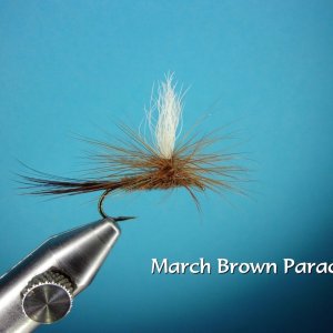 March Brown Parachute.jpg