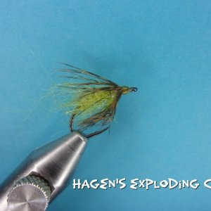 Hagen's Exploding Caddis.jpg