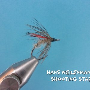 Hans Weilenmann's Shooting Star.jpg