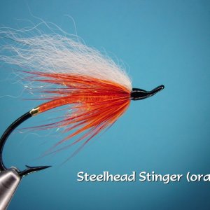 Steelhead Stinger.jpg