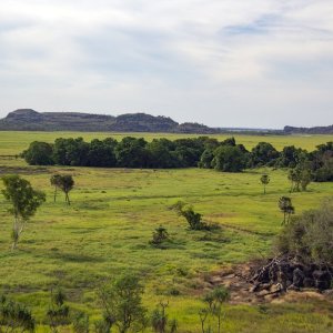 A04 EastAlligatorRiverFloodplain6464.jpg