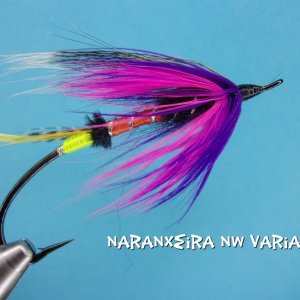 Naranxeira NW Variant.jpg