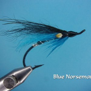 Blue Norseman.jpg