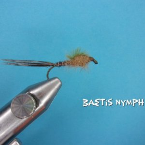 Baetis Nymph.jpg