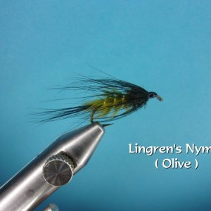 Lingren's Nymph.jpg