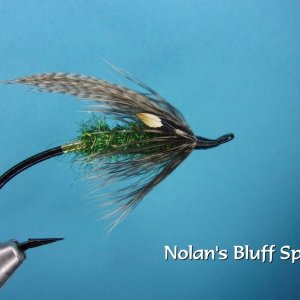 Nolans Bluff Special.jpg