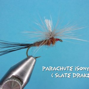 Parachute Isonychia.jpg