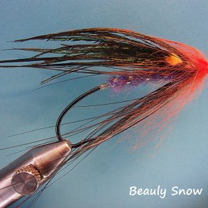 Beauly Snow Fly.jpg