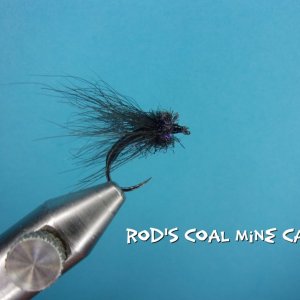 Rod's Coal Mine Caddis.jpg