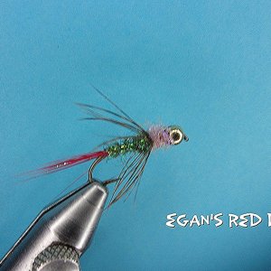 Egan's Red Dart.jpg