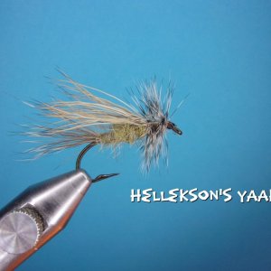 Hellekson's Yaak Bug.jpg