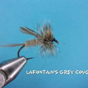 Lafontain's Grey Coughlin.jpg