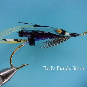 rods purple storm.jpg