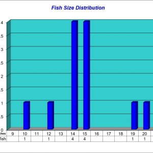 Fish Size Distribution Chart 2025-03-07.jpg