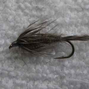 Muskrat Nymph.jpg