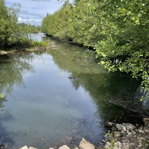 IMG_4526.jpeg