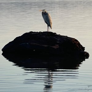IMG_2117.jpeg