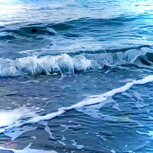 IMG_0946.jpeg