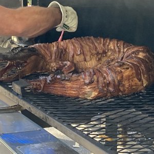 IMG_5008.jpeg