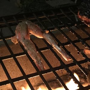 IMG_0481.jpeg